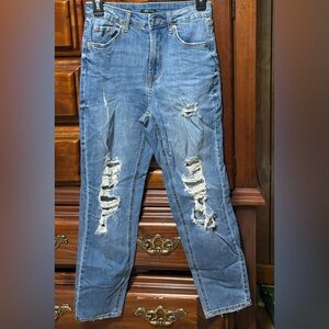wild fable Distressed Light Blue Skinny Jeans
